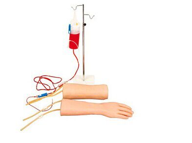 Precise practice leads to mastery of medical skills - the puncture model helps you develop precise skills